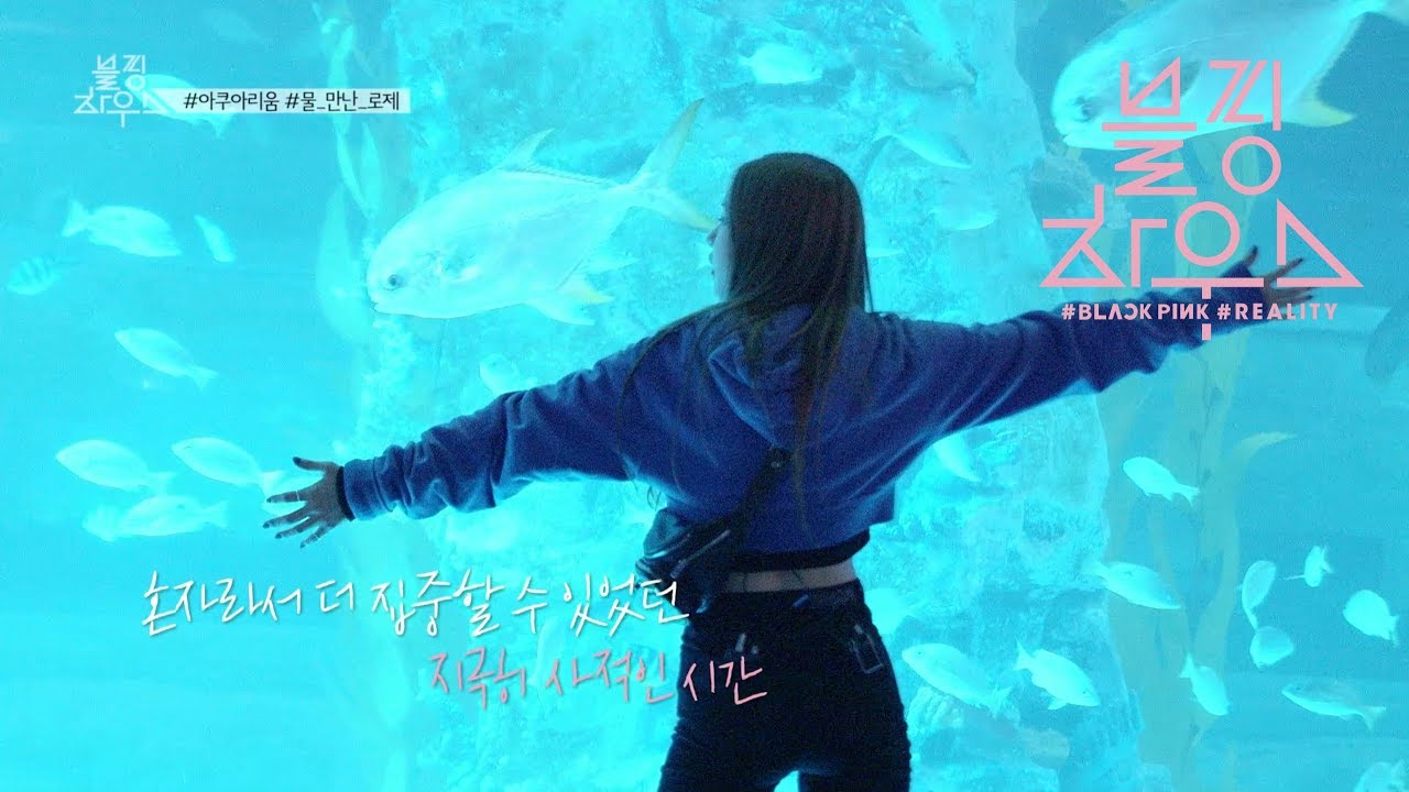 BLACKPINK – ‘블핑하우스 (BLACKPINK HOUSE)’ EP.8-5