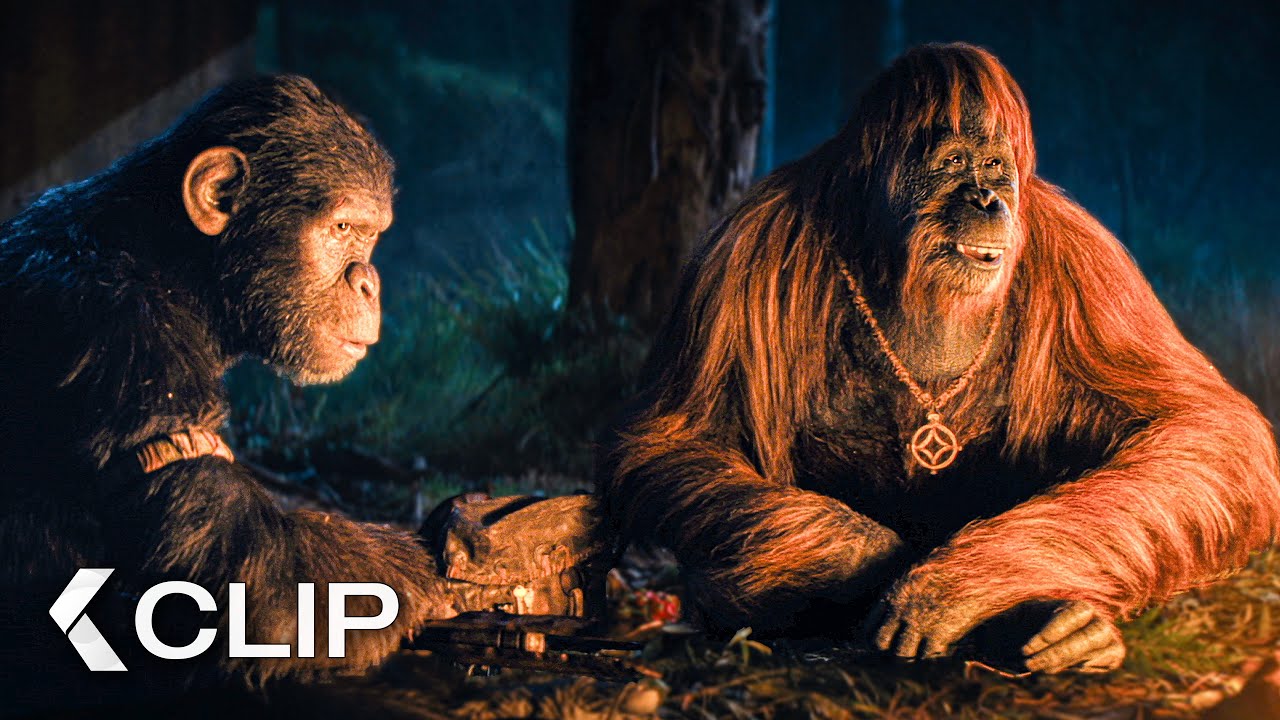 Apes Show Mercy To A Human Woman Scene – KINGDOM OF THE PLANET OF THE APES (2024)