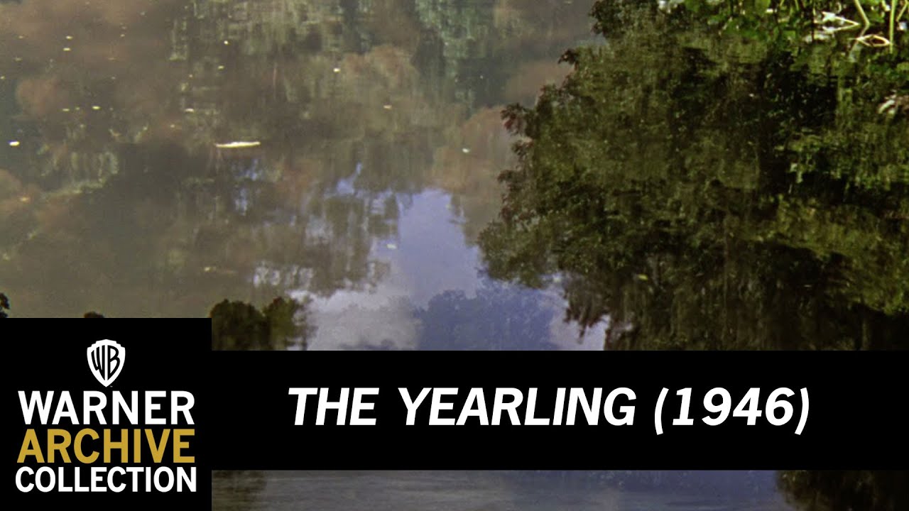 Open HD | The Yearling | Warner Archive