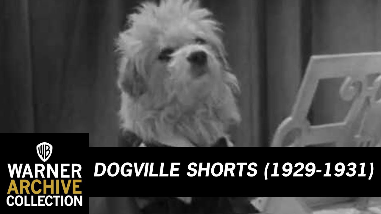 Aria | Dogville Shorts | Warner Archive