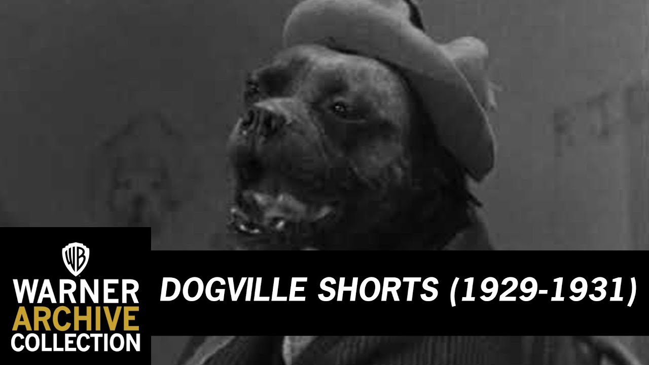 Employment | Dogville Shorts | Warner Archive