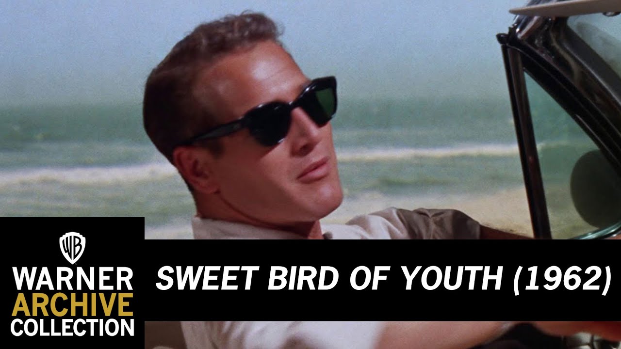 Open HD | Sweet Bird of Youth | Warner Archive
