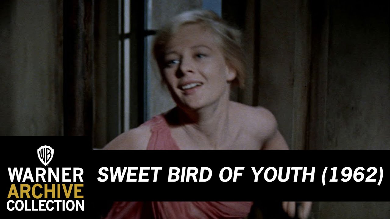 Trailer HD | Sweet Bird of Youth | Warner Archive