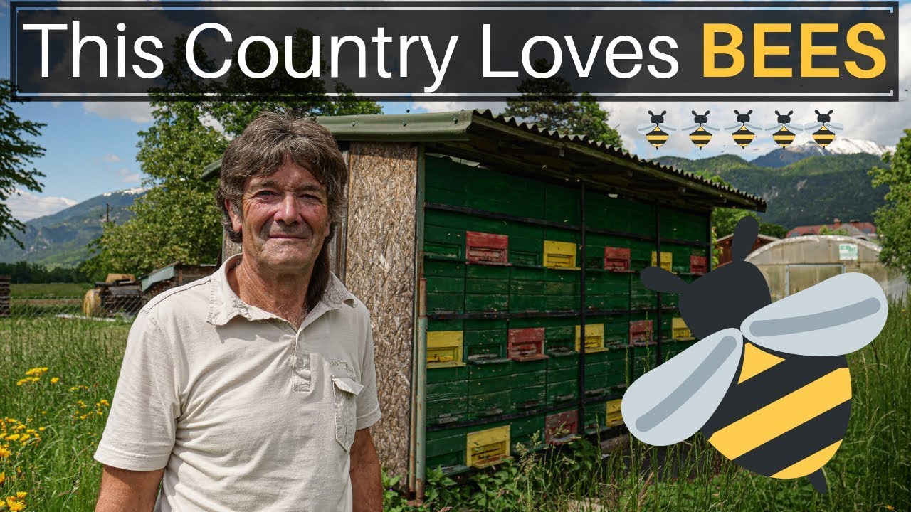 This Country Loves BEES (SLOVENIA) 27 hq720 1052