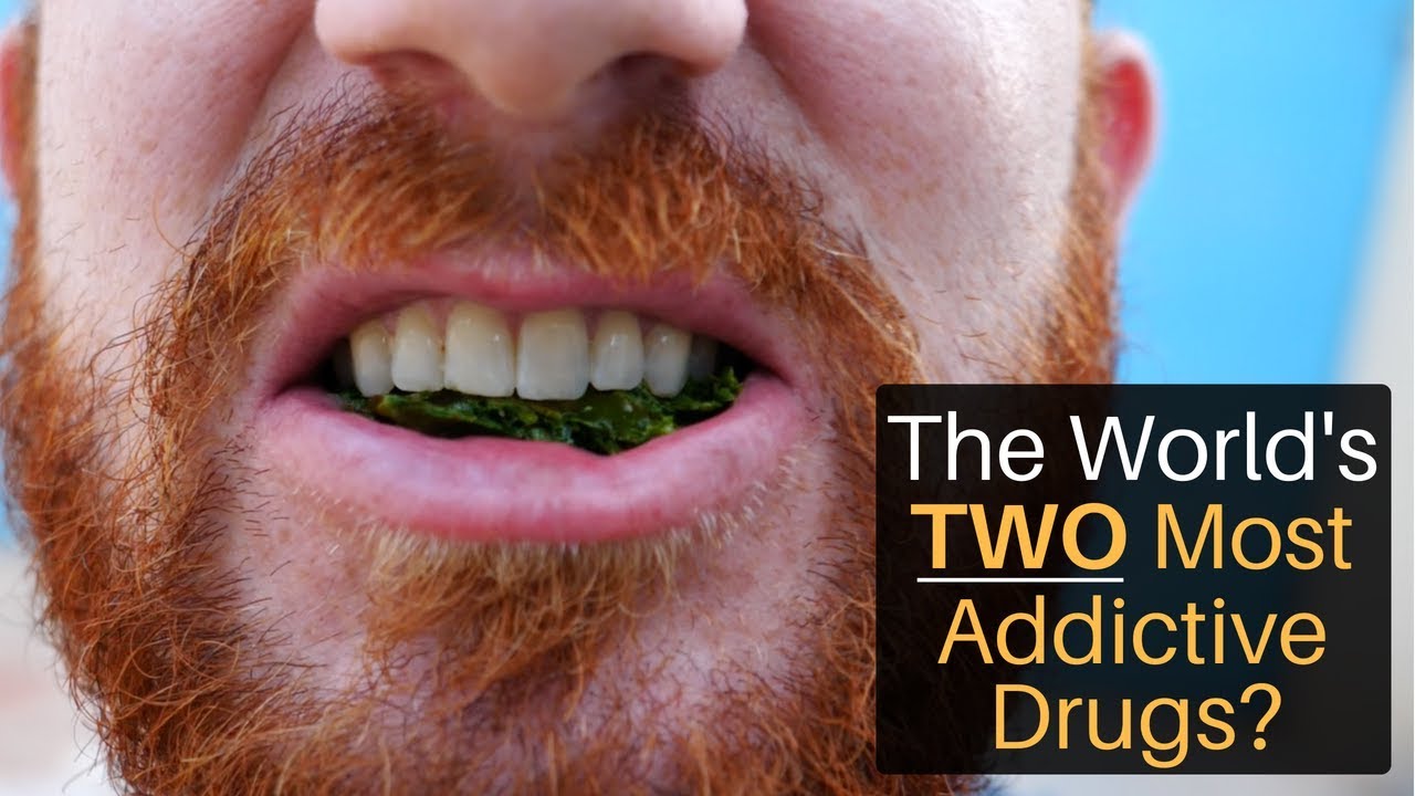 The World's 2 Most Addictive Drugs? 29 hq720 1314