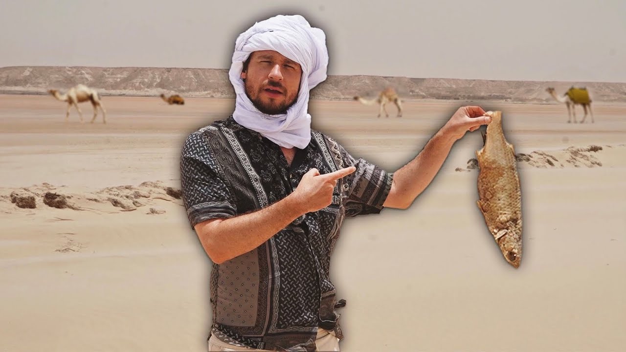 ¿Por qué hay pescados bajo la arena del desierto del Sahara? | DAKHLA 17 hq720 1504