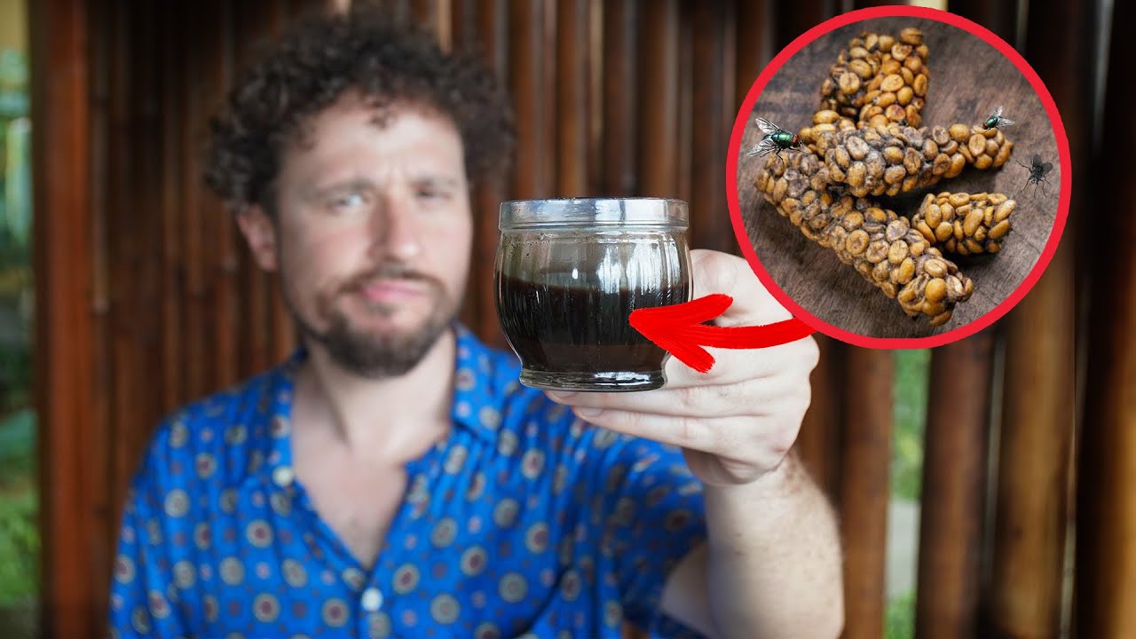 Probando CAFÉ HECHO DE CACA | ¿A qué sabe y por qué es tan caro? 25 hq720 1561