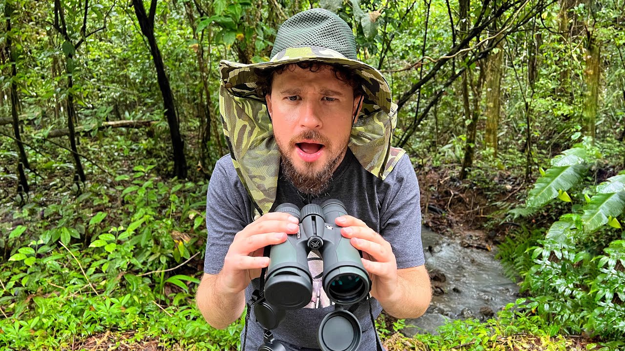 Buscando animales exóticos en el bosque de Costa Rica 27 hq720 1646