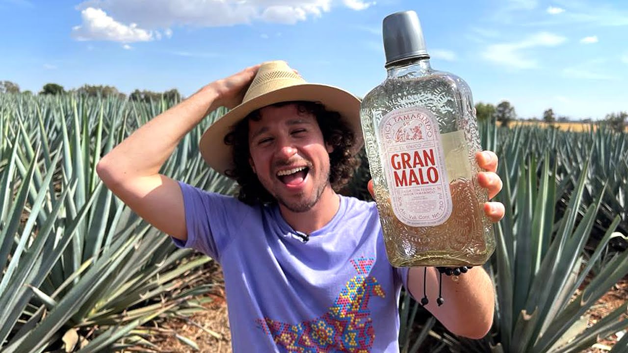 GRAN MALO: Tequila sabor a tamarindo | ¿Cómo se hace y por qué es TAN DELICIOSO? 24 hq720 1882