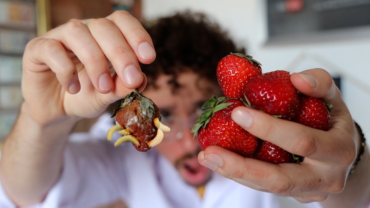¿Hay GUSANOS en tus FRESAS? | Experimento de TikTok 12 hq720 2010