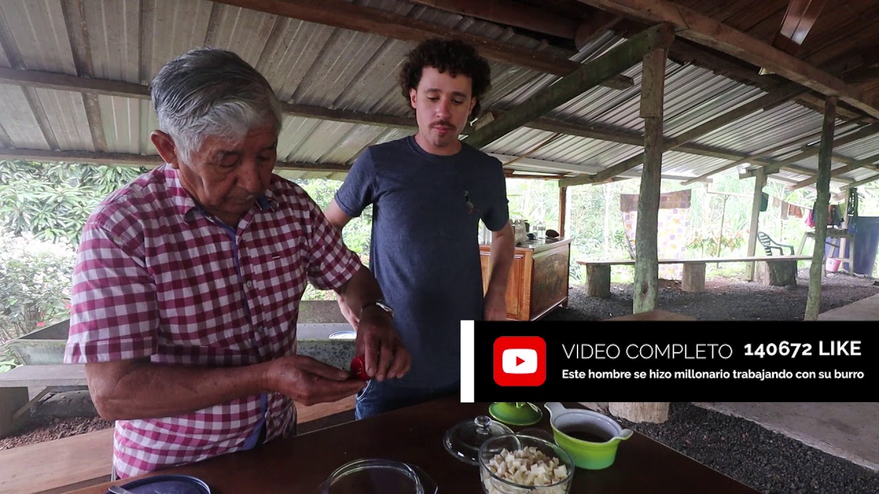¿Me dieron leche de tortuga? | Contenido Extra: PALOMOS PREMIUM 24 hq720 2133