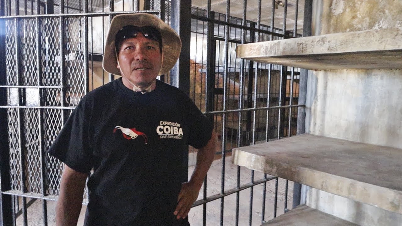 Llevé a un ex-prisionero a la cárcel donde estuvo por 12 años... 26 hq720 2261