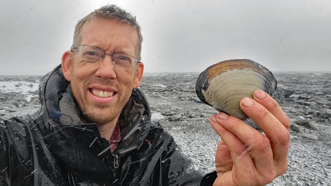 Camping, Fishing & Clamming in a Snow Storm - Coastal Foraging in Alaska 25 hq720 2676