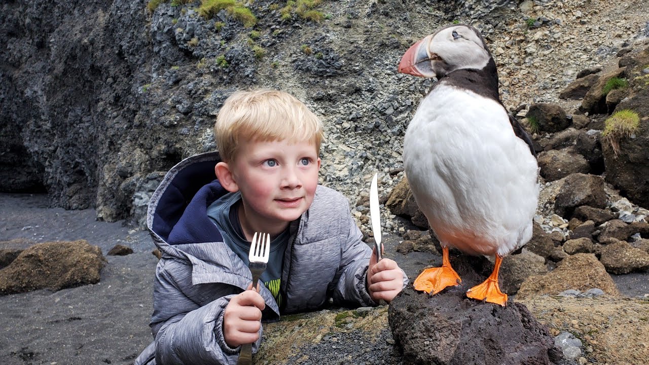 5 Day Iceland Adventure - Eating Puffin, Whale & Shark 27 hq720 2748