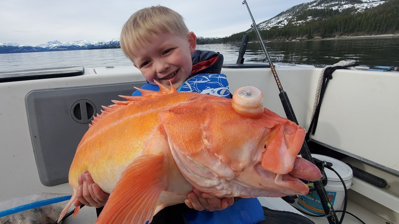 3 Days Camping in Alaska & Eating What We Catch - Shrimp, Rock Fishing and Halibut Catch & Cook 24 hq720 2762