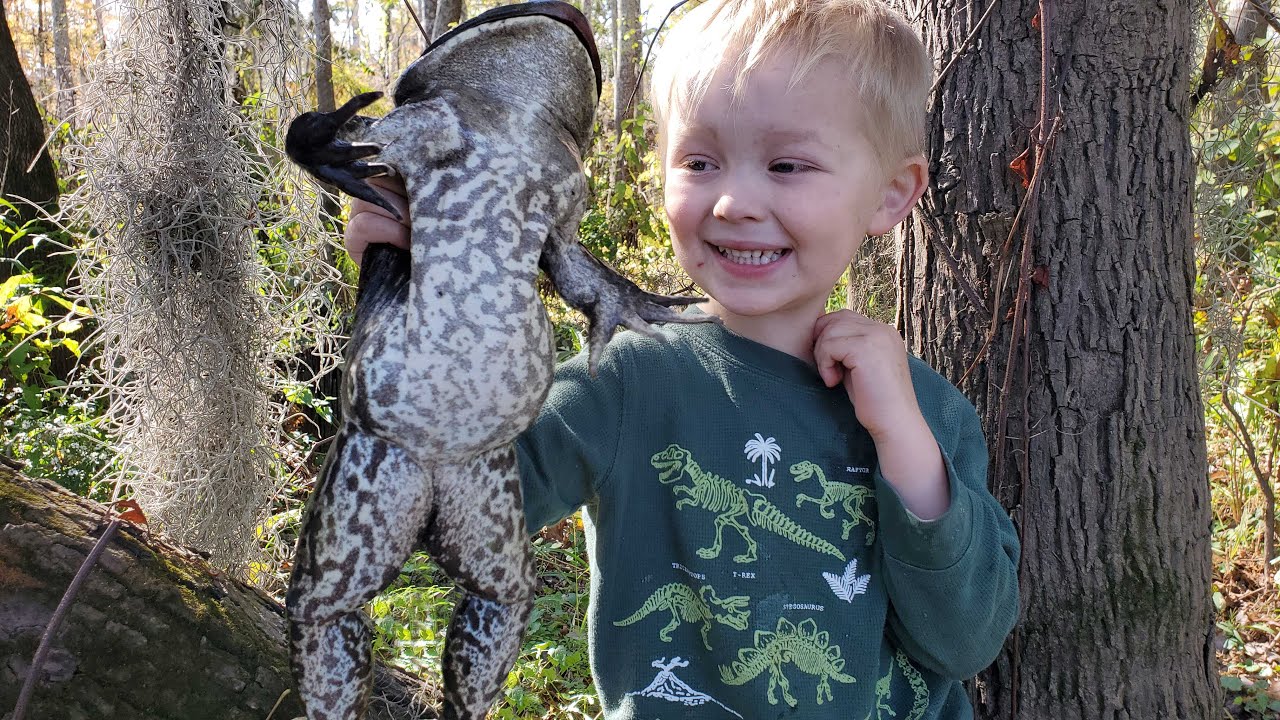 5 DAYS Fishing & Hunting in Bayou - Catch & Cook Frogs, Crabs, Gar, Carp Catfish, Duck & Nutria 25 hq720 2763