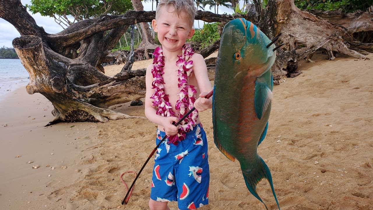 11 Day Fishing Catch & Cook in Hawaii - Diving with Whales, Spearfishing, Snorkeling & Adventure 24 hq720 2770