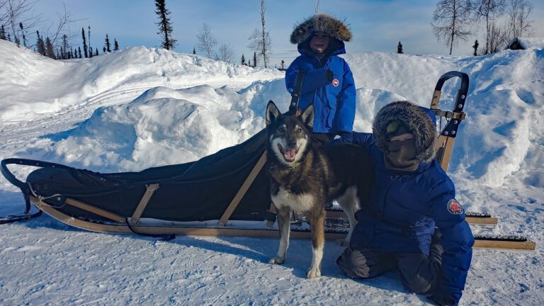 Winter Camping in Alaska with a Sled Dog Team hq720