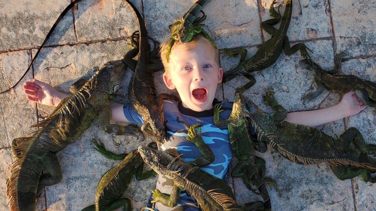 14 Days Fishing & Hunting Invasive Species in Florida (Catch & Cook) - 18 Invasive Species!!! 11 hq720 2812