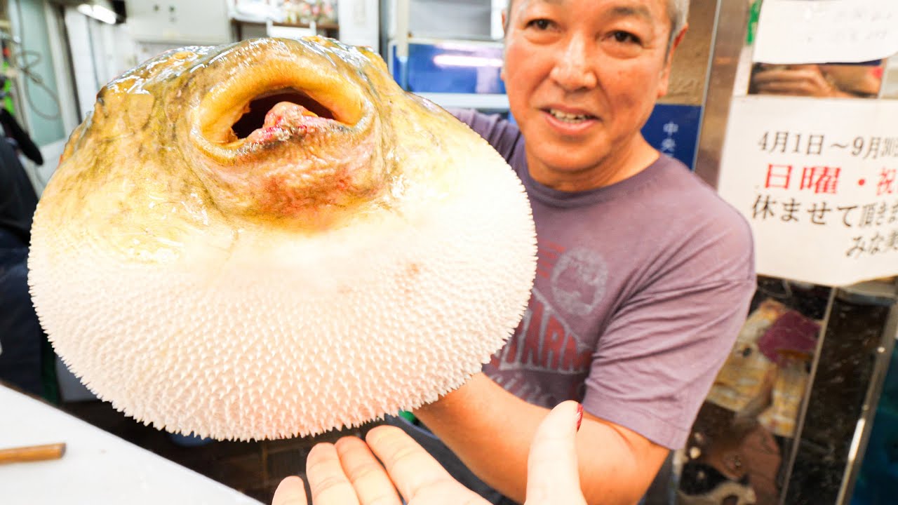 Japanese Street Food Tour in Osaka, Japan - DEADLY PUFFERFISH Sashimi (FUGU) + Noodle Tour of Osaka! 12 hq720 2974