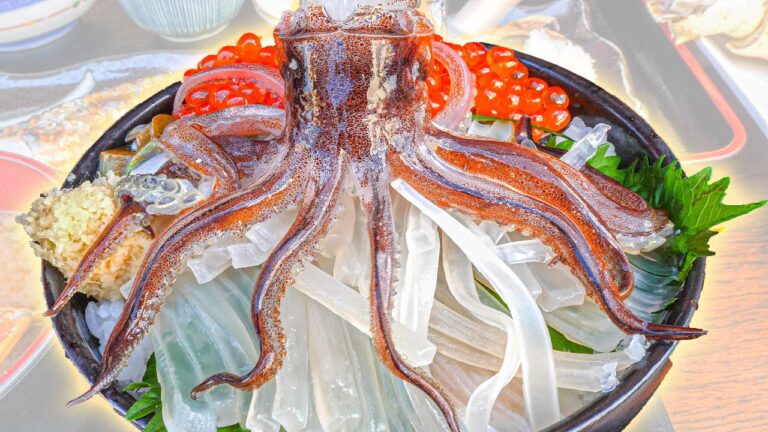 Street Food Japan - DANCING SQUID SASHIMI + BEST Seafood and Noodle Tour of Hokkaido, Japan! hq720