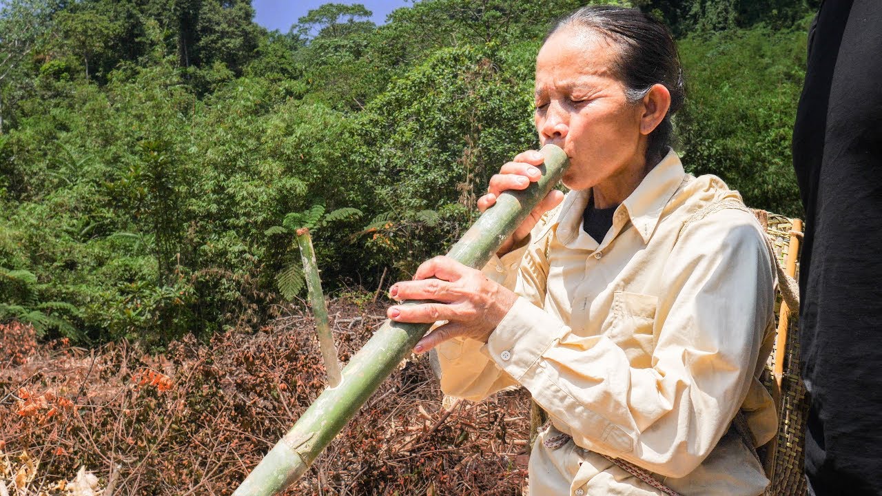 UNKNOWN Malaysian Food DEEP in the Borneo WILDERNESS! INCREDIBLE Bushcraft Chicken ADVENTURE VLOG 24 hq720 3089