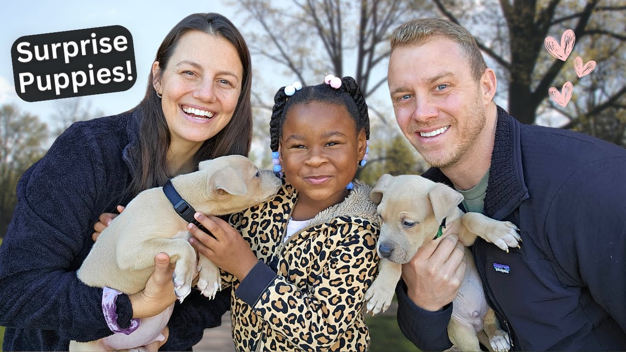 Surprising Our Daughter With Puppies! 25 hq720 3289