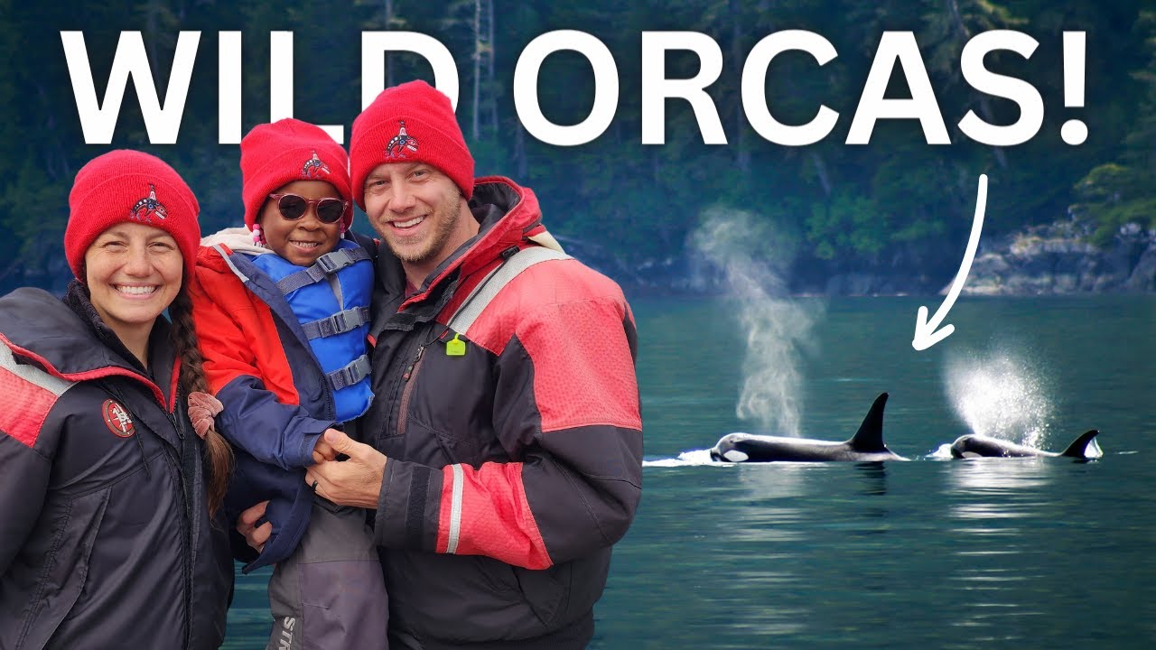 San Juan Island | We Saw WILD KILLER WHALES! 24 hq720 3320