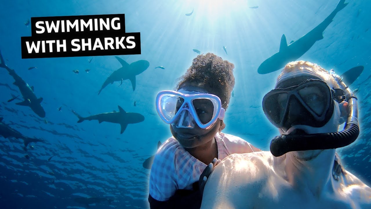 3 Year Old Swims with Sharks & Whales in Moorea! 12 hq720 3357