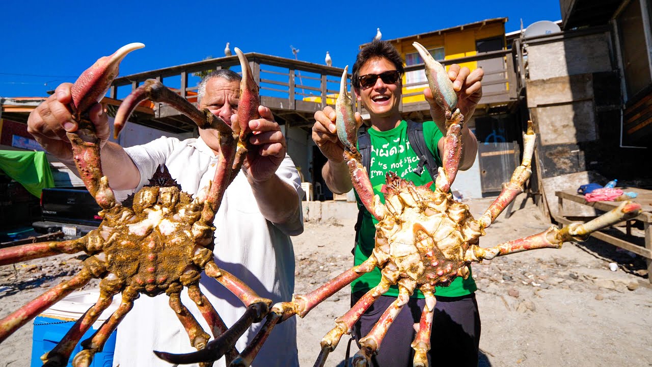 Huge MARTIAN Crab!! MEXICAN FOOD in Popotla Fishing Village, Mexico! 10 hq720 456