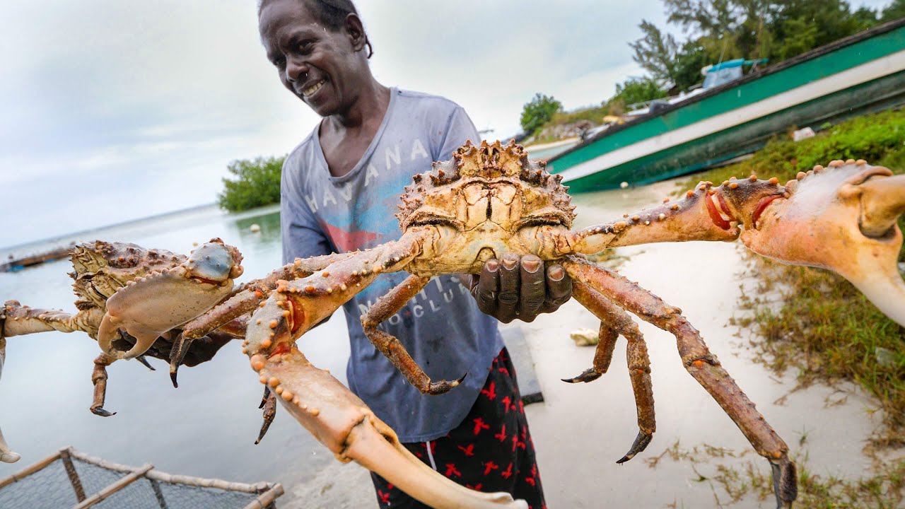 Huge Caribbean KING CRAB RUNDOWN!! Jamaican Seafood Tour - Jamaica! 28 hq720 466