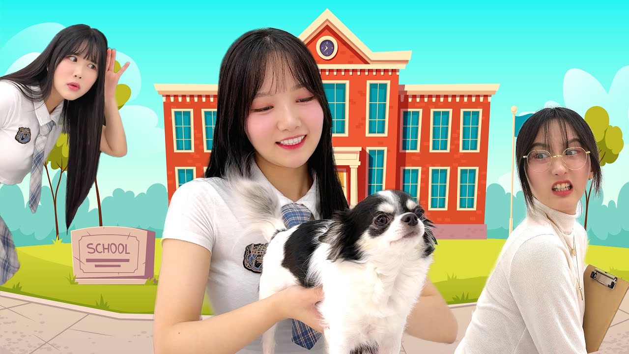 학교에 몰래 강아지를 데리고 왔어요 27 hq720 5130