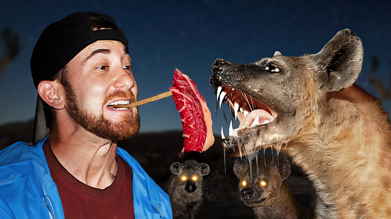 I Met 500 Wild Hyenas in Ethiopia (Dangerous) 22 hq720 607