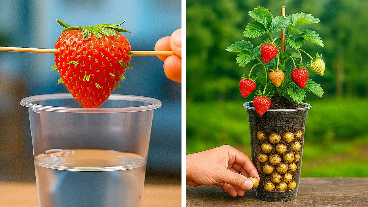 GENIUS GARDENING HACKS FOR PLANT LOVERS! Easy Tips for Healthy Plants  ✨