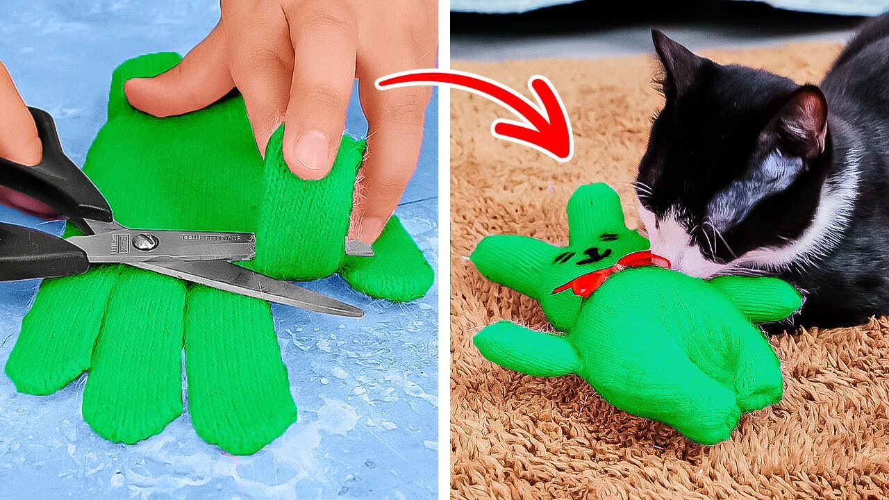 ✨ THE BEST DIY PET TOYS YOU’LL EVER MAKE!